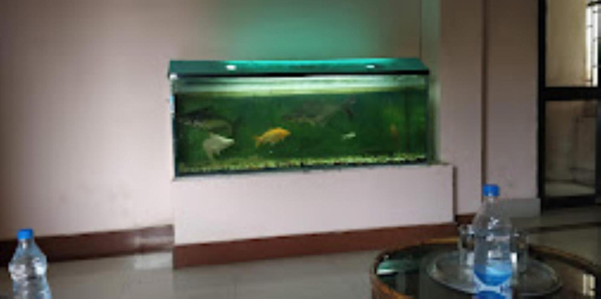 Hotel Blue Wheel,Bhubaneswar Exteriör bild